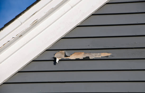 Best Construction Debris Removal  in Riverview, SC